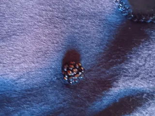 Elegante chaqueta negra de vestir