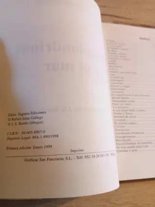 Las golondrinas y el mar 1999