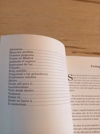 Las golondrinas y el mar 1999