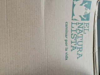 Zapatos El Naturalista Talla 38.Color verde musgo.