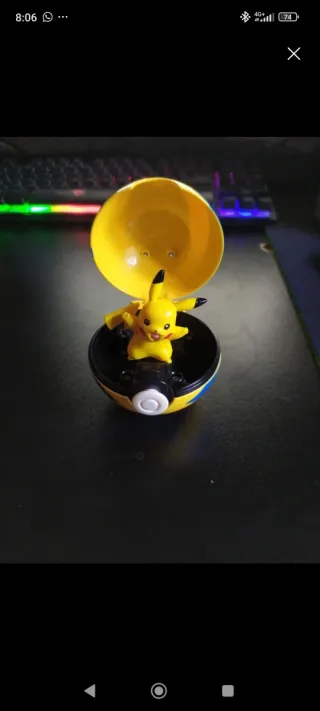 Pikachu en Pokeball Pokemon