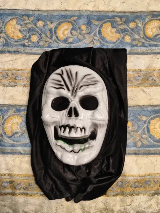 Disfraz Halloween Calavera Grim Reaper