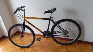Se venden bicicletas y patinete