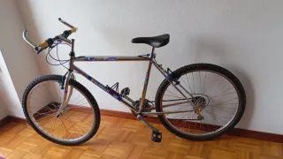 Se venden bicicletas y patinete