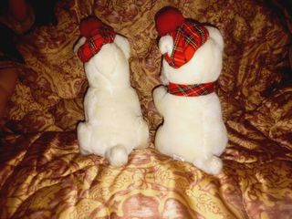 Dois cães de peluche brancos anos 80