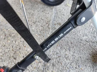 Carrito de golf Inesis