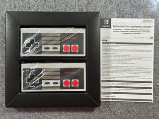 Nintendo Switch Online NES Controllers