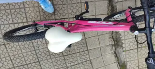 Bicicleta niña DTB Fun 200 de 20 pulgadas