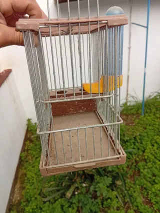 Jaula para jilguero con bebedero