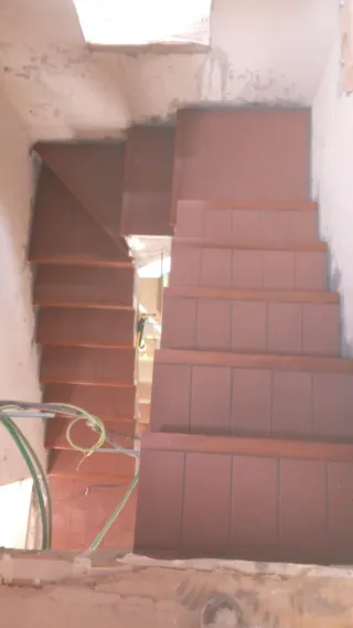 paleta profesional  ofrece sus servicios