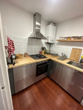 paleta profesional  ofrece sus servicios