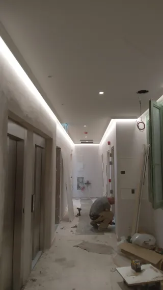 paleta profesional  ofrece sus servicios