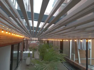 paleta profesional  ofrece sus servicios