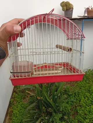 Jaula para jilguero