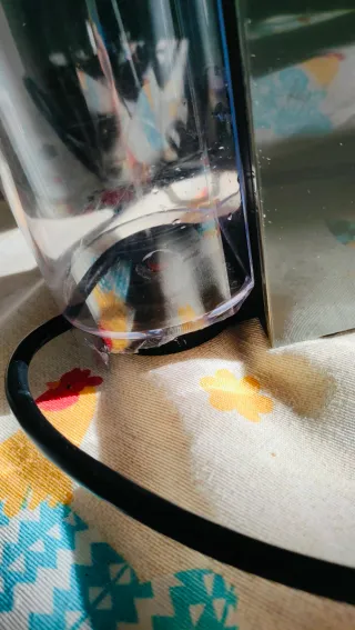 Cafetera Krups Essenza Mini y Tostadora