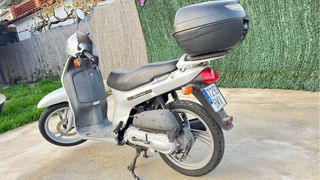 Honda Scoopy 100