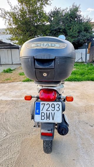 Honda Scoopy 100