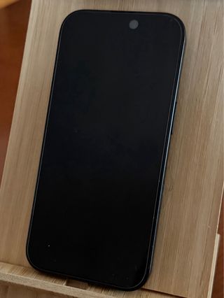 iPhone 16 Pro 256 GB Negro