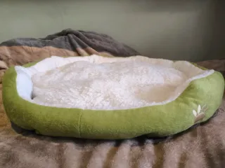 Letto Grande per Gatti/Cani Verde e Bianco
