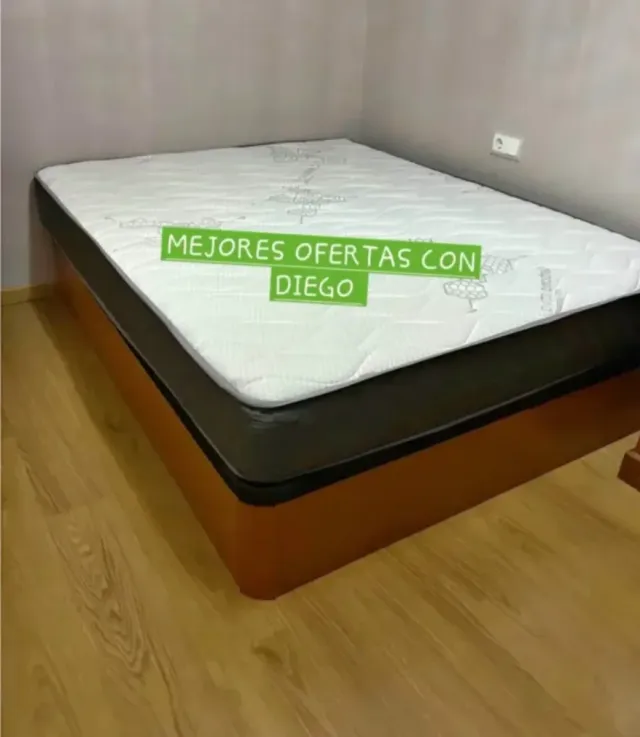 Canapé Canapé Canapé Canapé Canapé canapé canapé