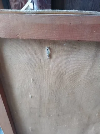 Antiguo óleo sobre lienzo firmado 1970