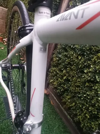 Bicicleta de carretera Orbea Avant