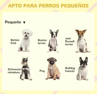 Casetta in legno per cani