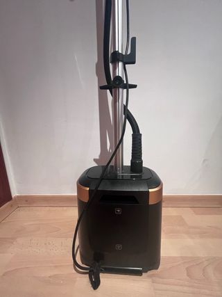 Plancha de vapor vertical Rowenta