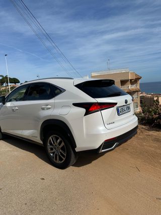 Lexus NX300 HIBRIDO 2019