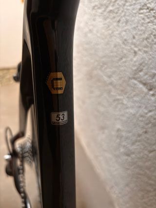 Orbea Orca Gold