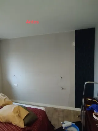 Empapelador profesional