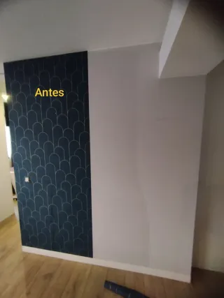 Empapelador profesional