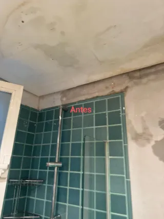 Empapelador profesional