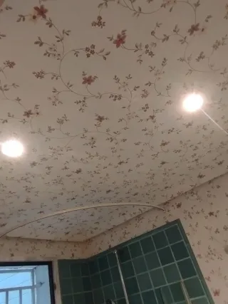 Empapelador profesional