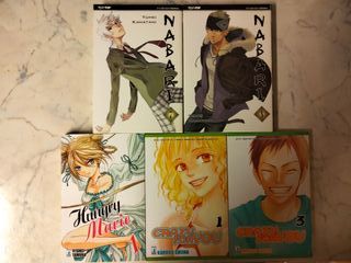 Lotto di Manga 001 (x Elisa)