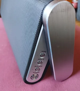 Altavoz Sony SRS-BTX300 Negro/Plata