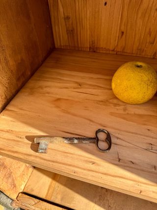 Armario rústico antiguo del siglo XVIII. Pirineo