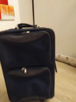 Vendo 1 trolley a 2 ruote