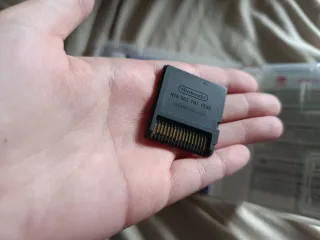 Animal Crossing Wild World per Nintendo DS