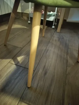 2 Sedie in velluto verde