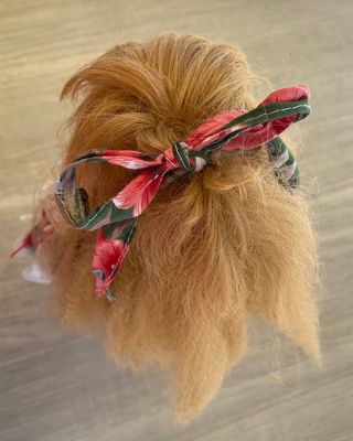 Bambola da Collezione Porcellana Dan 40 cm.