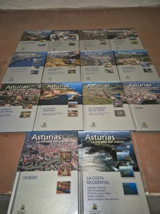 14 LIBROS, ASTURIAS LA MIRADA DEL VIENTO