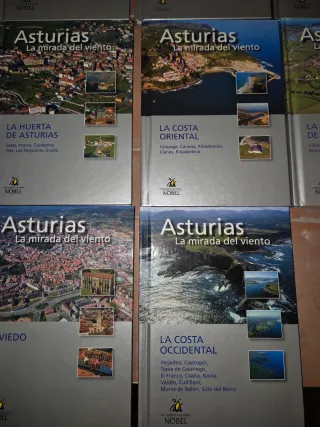 14 LIBROS, ASTURIAS LA MIRADA DEL VIENTO