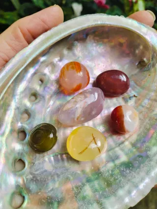 Conchiglia Abalone 12cm + 6 pietre