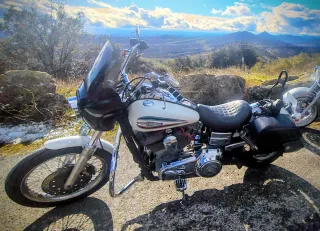 Harley Davidson Dyna FXD35th