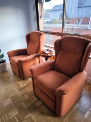 Sillones tapizados color terracota.