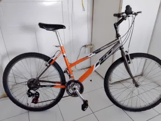 Bicicleta de Montaña BH Super 500 talla L de adult