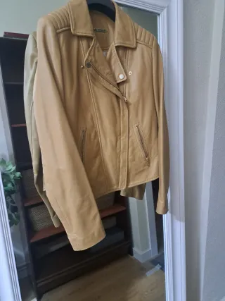 Cazadora Piel Massimo Dutti Beige