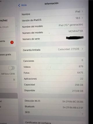 Urge Venta iPad 10ª Gen Rosa 256GB
