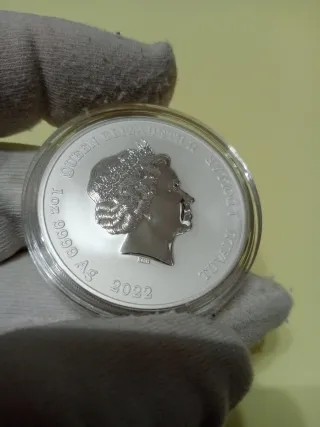 Onza Chun Li Street Fighter